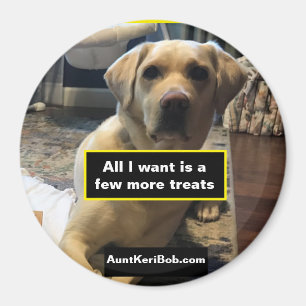 Wenige weitere Leckereien Magnet