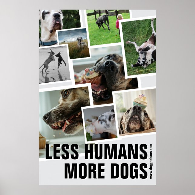 Weniger Menschen, mehr Hunde  Poster (Vorne)