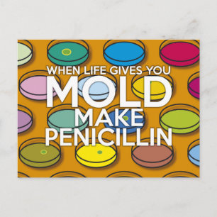 WENN DAS LEBEN DIR DEN MOLD GEBEN WIRD POSTKARTE