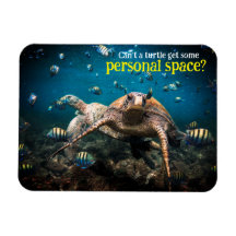 Wenn das Leben hart wird, behalt einfach zu schwim