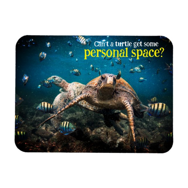 Wenn das Leben hart wird, behalt einfach zu schwim Magnet (Horizontal)