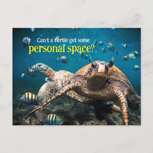 Wenn das Leben hart wird, behalt einfach zu schwim Postkarte (Vorderseite)