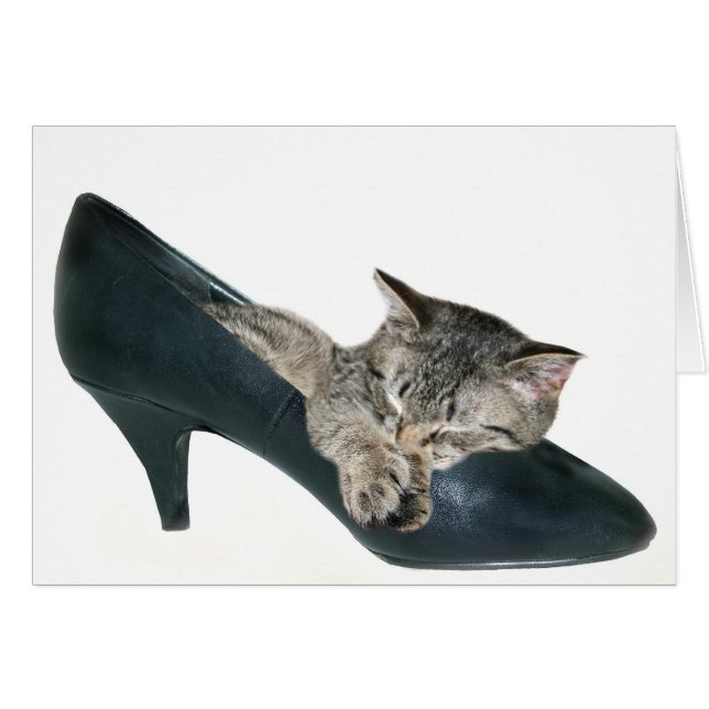 Wenn der Schuh passt (Vorderseite (Horizontal))