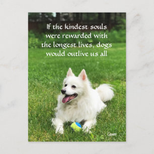 Wenn die Kindest-Soule - Postkarte
