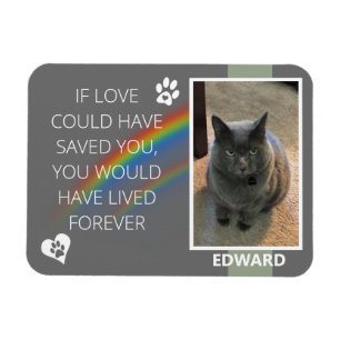 Wenn die Liebe Gerettet haben könnte Magnet