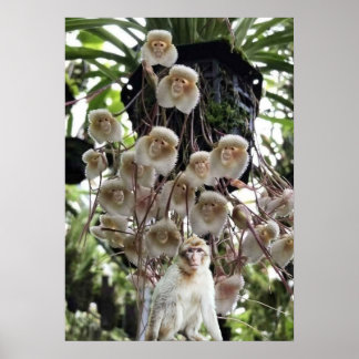 Wenn die Natur die Natur kopiert. Poster