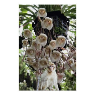 Wenn die Natur die Natur kopiert. Poster