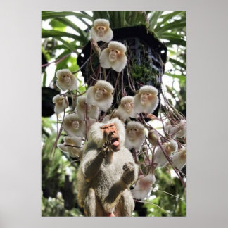 Wenn die Natur die Natur kopiert. Poster