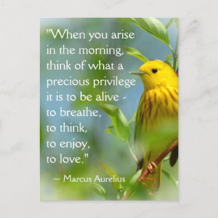 Wenn du aufstehst Marcus Aurelius Inspirationszita Postkarte