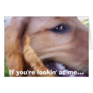 Wenn du mich ansiehst...