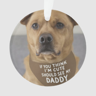 Wenn du mich süß findest, solltest du meinen Daddy Ornament