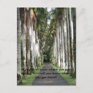 Wenn du nicht weißt, wohin du gehst.. postkarte