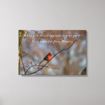 Wenn ein Kardinal auf dem Foto in Ihrem Garten ers