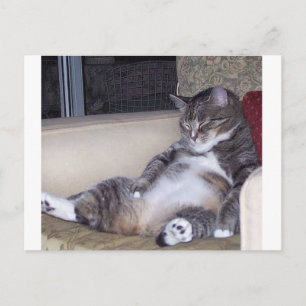 Wenn es eine Hose oder einen BH benötigt.. Postkarte