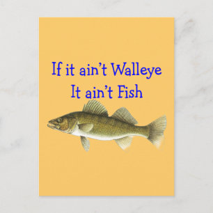 wenn es gefällt walleaint fish postkarte