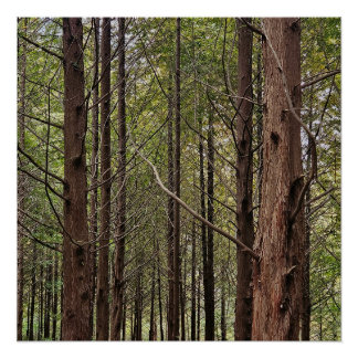 Wenn es hart auf hart kommt, geht das Schwierige Poster