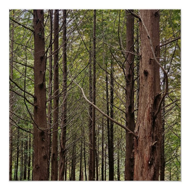 Wenn es hart auf hart kommt, geht das Schwierige Poster (Vorderseite)