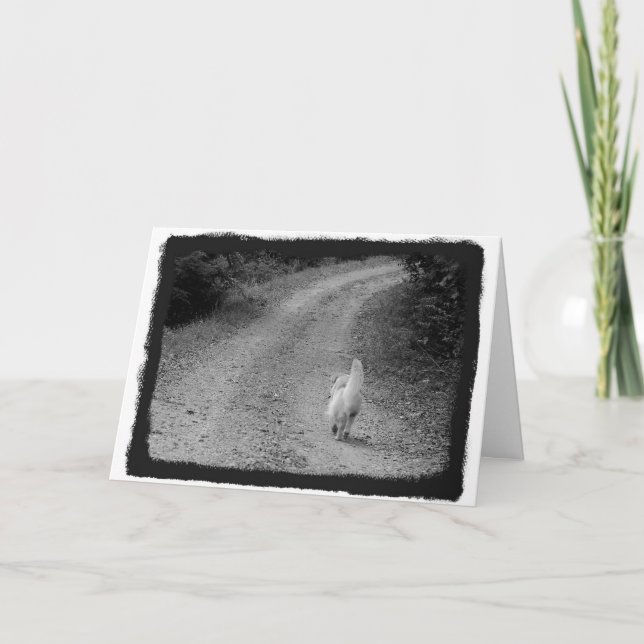 Wenn es Zeit ist Sympathieausweis Karte (Vorderseite)