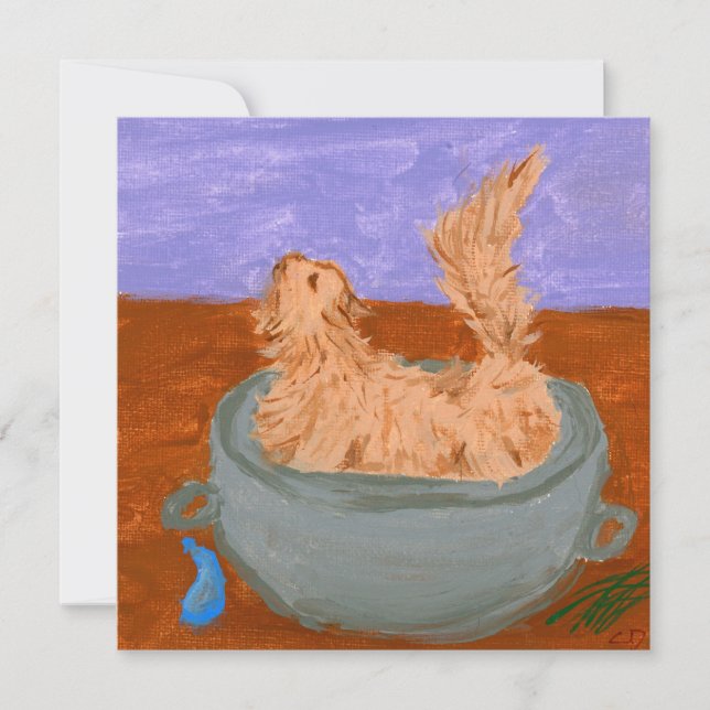 Wenn Hexen nicht aussehen (Vorderseite)