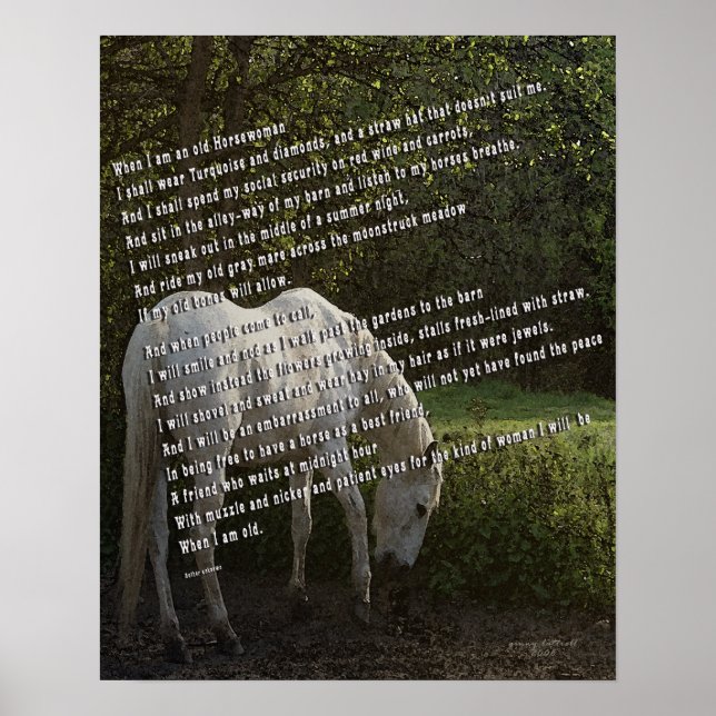 Wenn ich eine alte Horsefrau bin III Poster (Vorne)