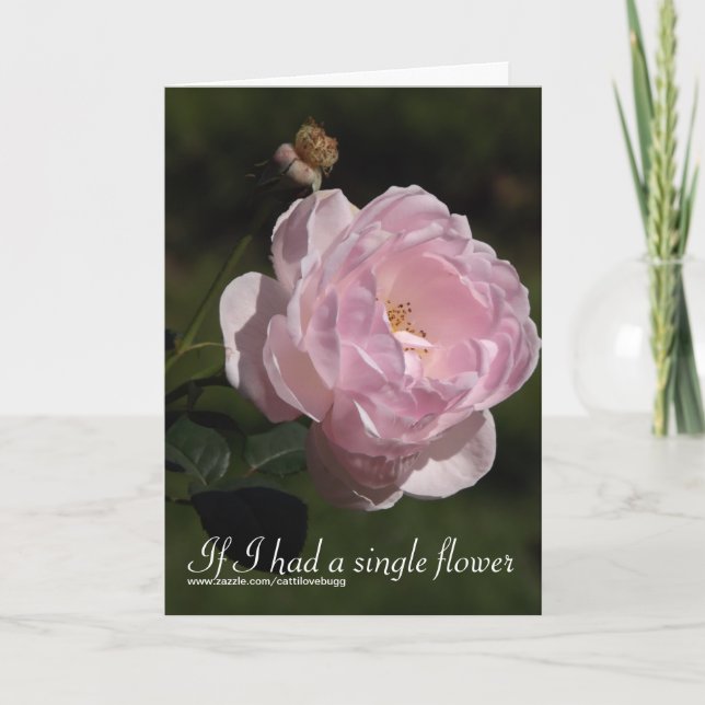Wenn ich eine Single-Blume hatte, Karte des (Vorderseite)