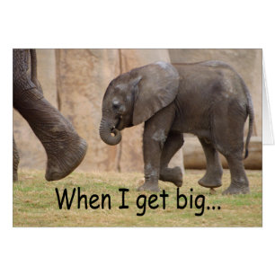 Wenn ich… groß erhalte