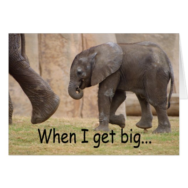 Wenn ich… groß erhalte (Vorderseite (Horizontal))