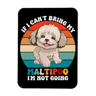Wenn ich meinen Maltipoo-Hund nicht mitbringen kan Magnet