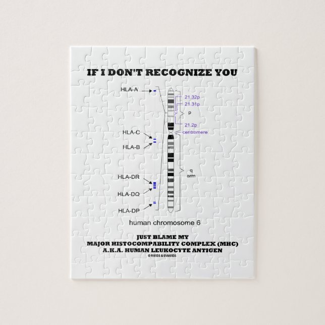 Wenn ich nicht erkenne, tadeln Sie gerade meine Puzzle (Vertikal)