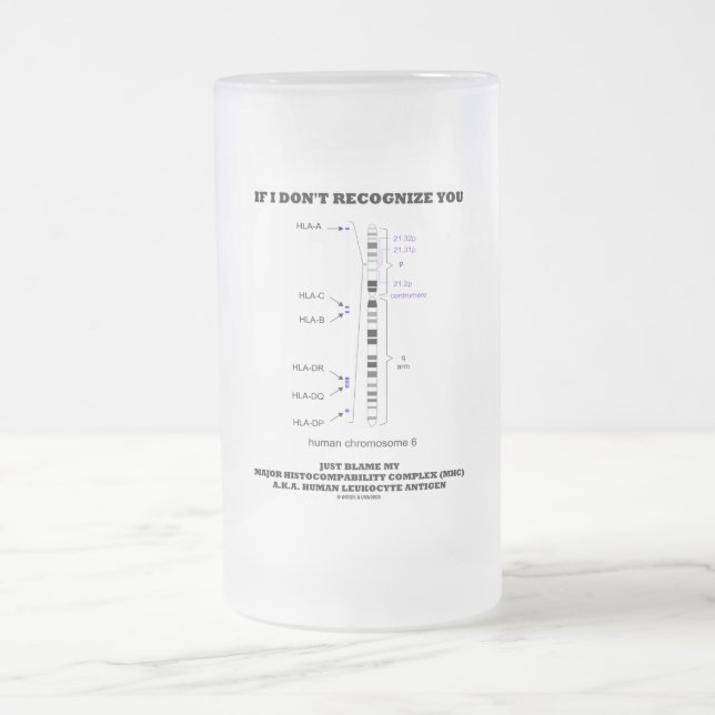 Wenn ich Sie nicht erkenne, geben Sie einfach mein Mattglas Bierglas (Mittel)