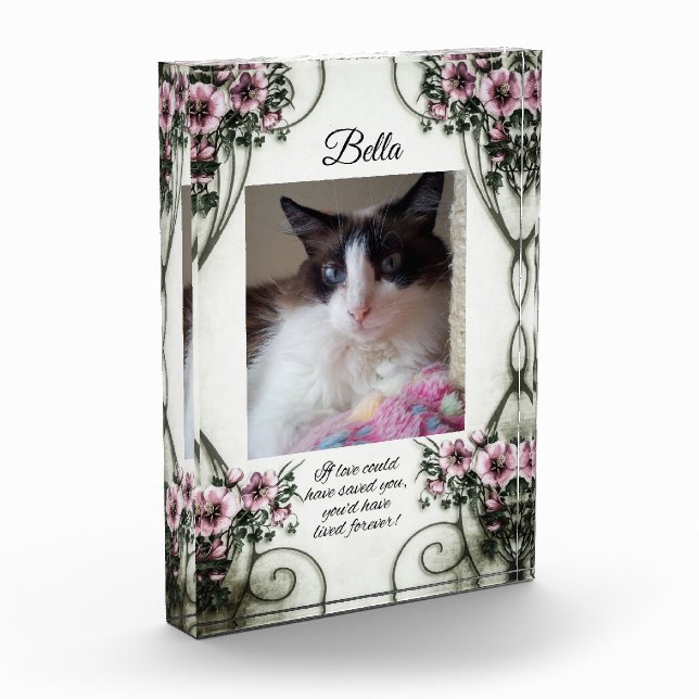 Wenn Ihnen die Liebe gerettet hätte.. Foto Block (Links)