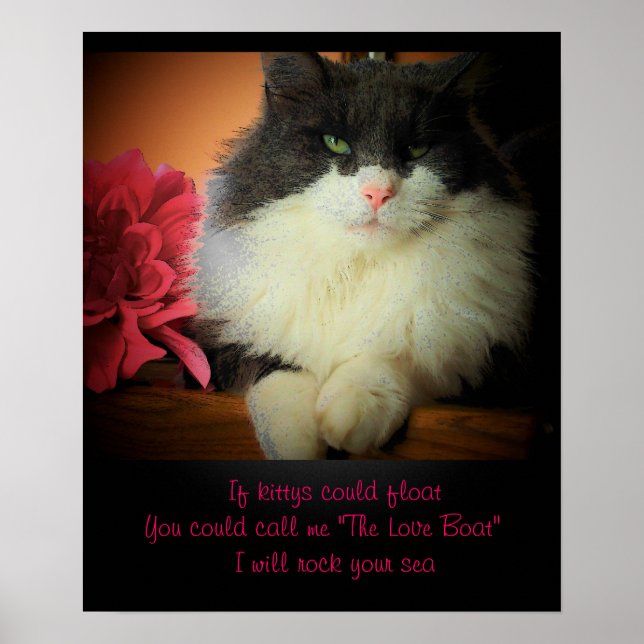 Wenn Katzen schwimmen könnten Poster (Vorne)