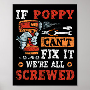 Wenn Ppy es nicht reparieren kann, sind wir alle a Poster