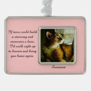 Wenn Risse eine Treppenhaus-Verzierung errichten Rahmen-Ornament Silber