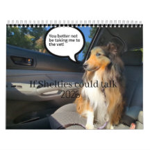 Wenn Shelties sprechen könnten