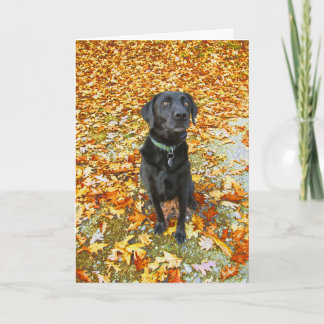 Wenn Sie auf Ihre Grußkarte fallen Karte