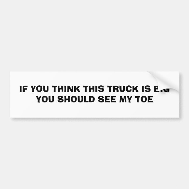 WENN SIE DENKEN, DASS DIESER LKW GROSS IST, AUTOAUFKLEBER (Vorne)