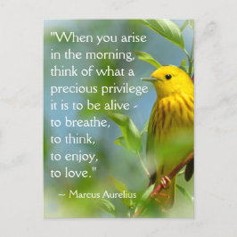 Wenn Sie Marcus Aurelius Inspiration Zitat P Postkarte