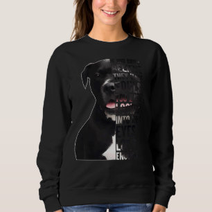Wenn Sie nicht glauben, sie haben Soule lustige Pi Sweatshirt