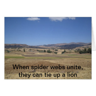 Wenn Spinnennetze vereinigen, können sie Krawatte