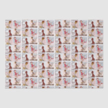 Wenn Toiletten Gewebe besprechen könnten