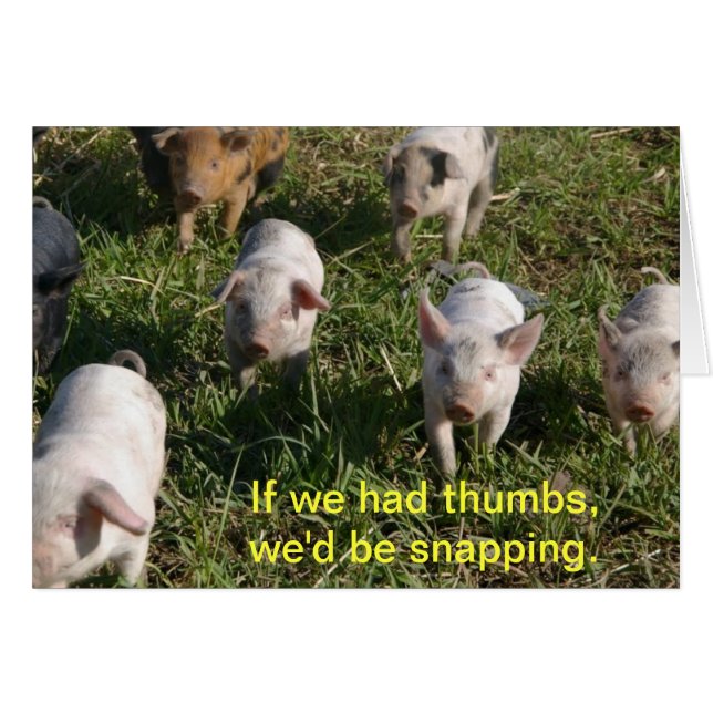 Wenn wir Thumbs hätten (Vorderseite (Horizontal))