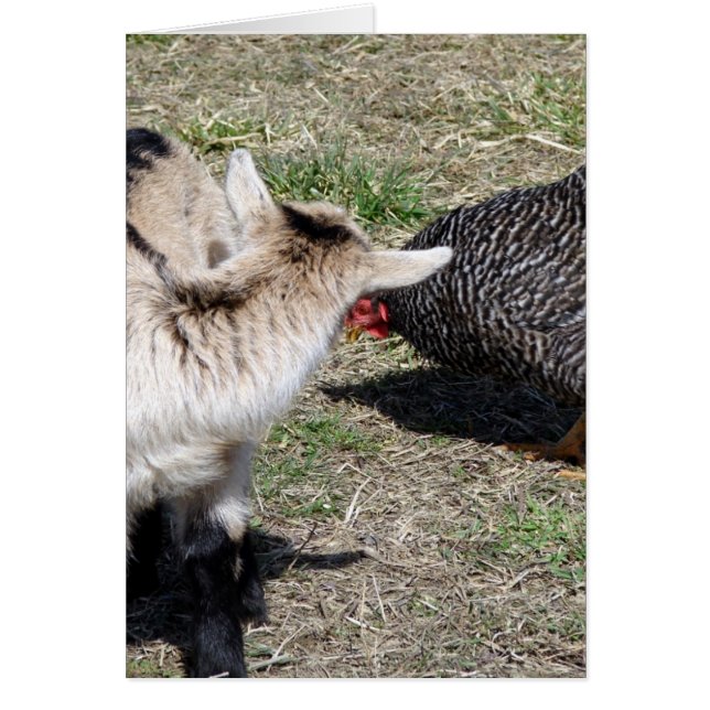 Wer bist du? (Vorne)