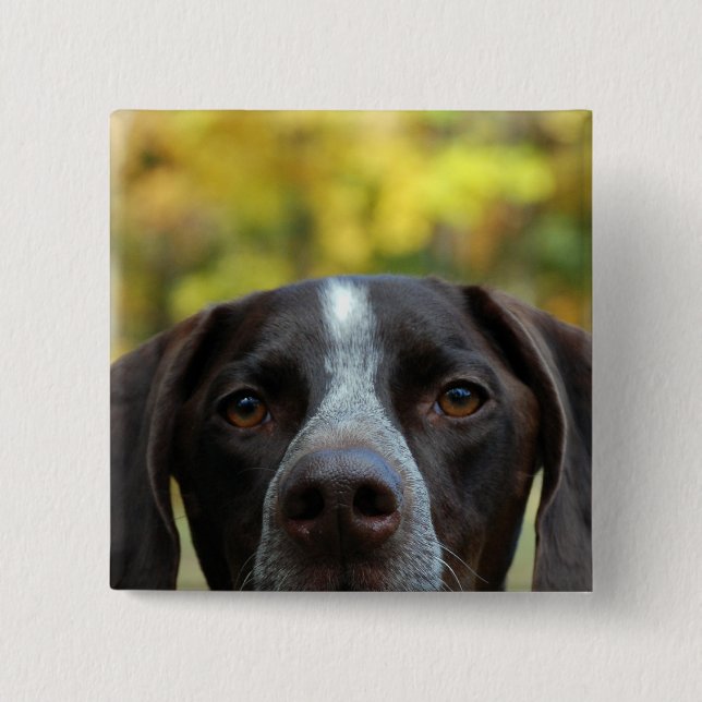 Wer Dat Hund? Button (Vorderseite)