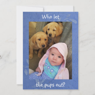 Wer die Jungtiere Gelassen hat - Einladung