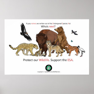 Wer folgendes Plakat ist