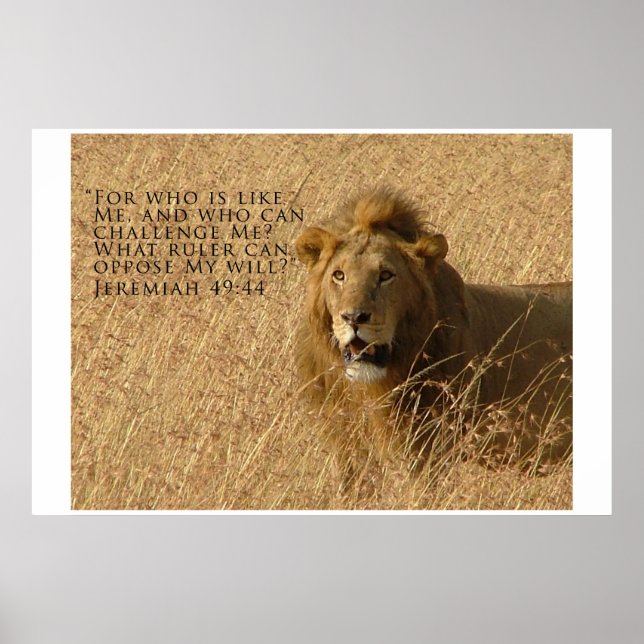 Wer größer ist poster (Vorne)