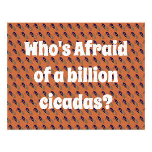 Wer hat Angst vor einer Milliarde Kikadas? Fotodruck