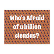 Wer hat Angst vor einer Milliarde Kikadas?