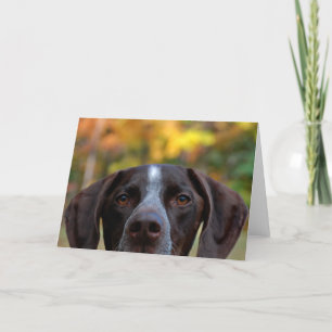 Wer hat Hund gegangen? Karte